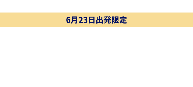 シカゴ観光局協賛【6月23日出発限定】シカゴへのVIPツアーで、美術館巡り、ボートクルージングそして特別席での野球観戦を満喫。