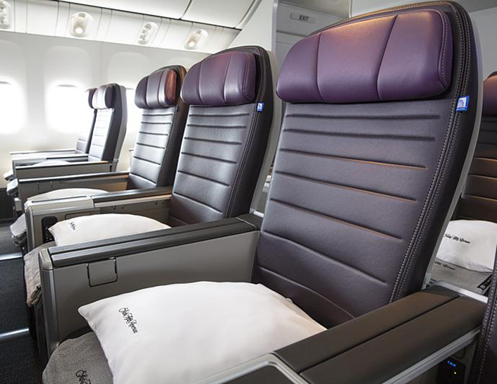 ユナイテッド・プレミアムプラス画像