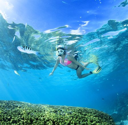 マニャガハ島 スノーケル