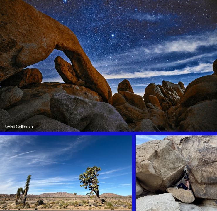 ジョシュアツリー国立公園