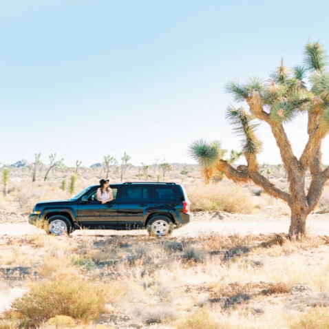 カリフォルニア　ロードトリップ